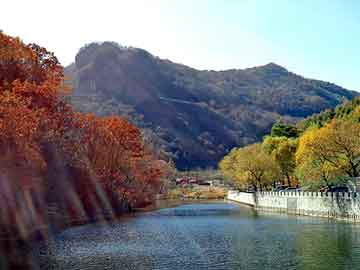 新澳天天开奖资料大全旅游团，泛目录生成